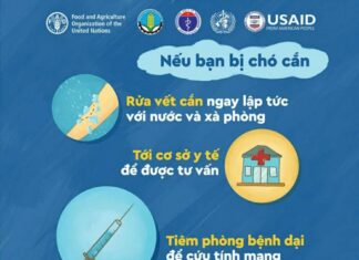 TUYÊN TRUYỀN PHÒNG CHỐNG BỆNH DẠI NĂM HỌC 2025 – 2026